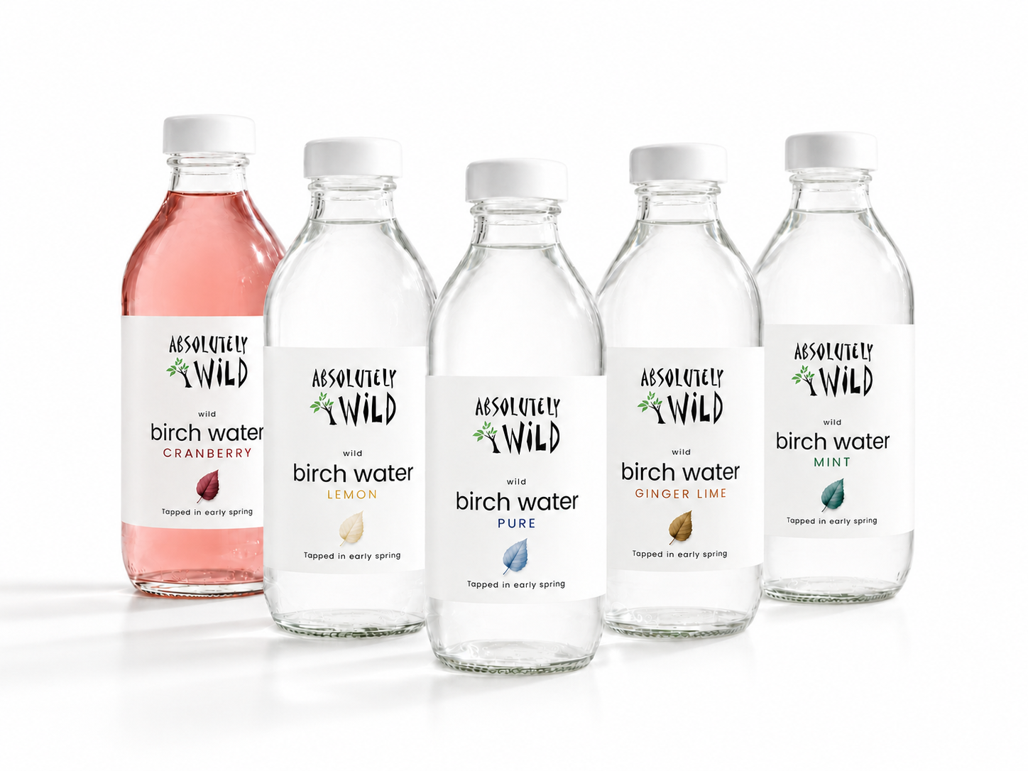 Absolutely Wild organic birch water five-flavour glass bottle range